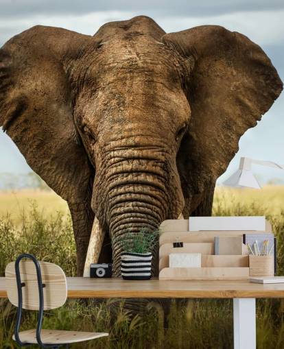 Elephant Head On Wall Mural