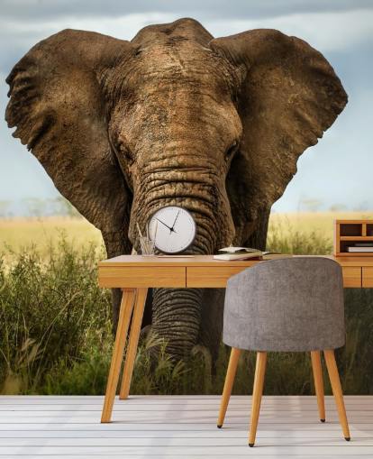 Elephant Head On Wall Mural