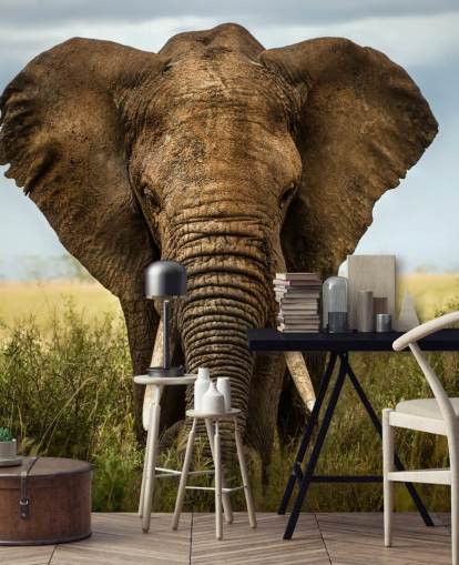 Papier Peint Fresque Tête d'éléphant