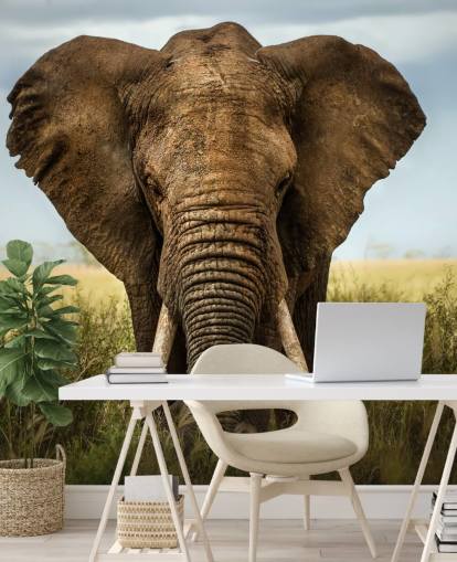 Elefant hoved på vægmaleri