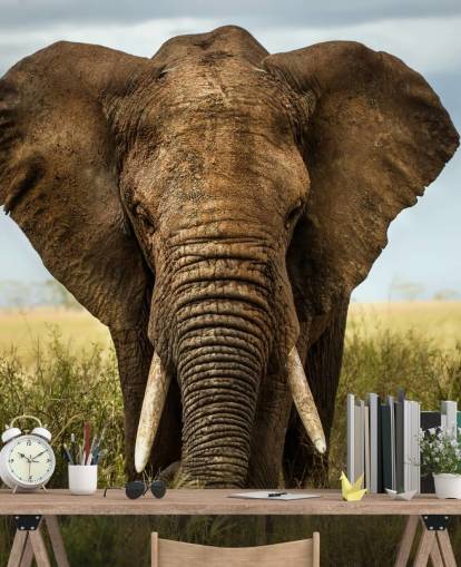 Decorazione murale con testa di elefante Decorazione murale con testa di elefante