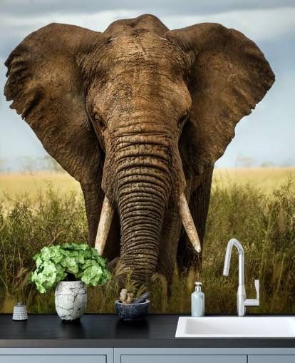 Olifant hoofd op muurschildering