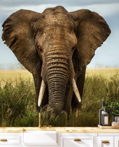 Elephant Head On Wall Mural Elephant Head On Wall Mural