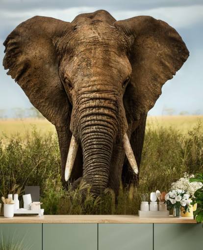Mural de pared Cabeza de elefante Mural de pared Cabeza de elefante