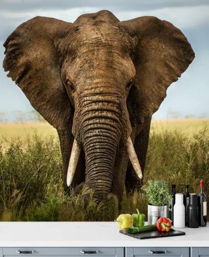 Decorazione murale con testa di elefante