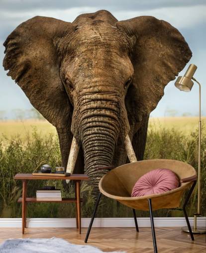 Elephant Head On Wall Mural
