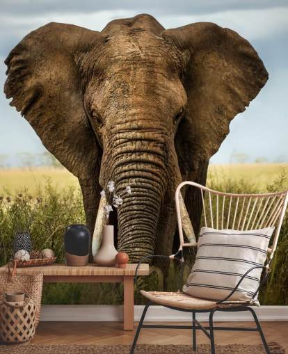 Elephant Head On Wall Mural