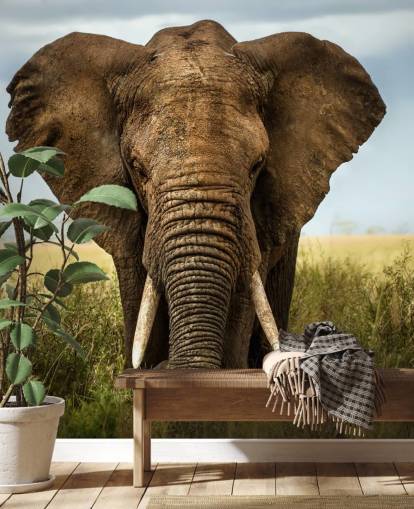 Decorazione murale con testa di elefante