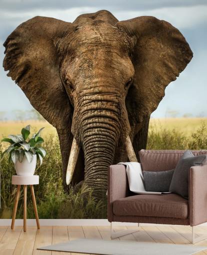 Elephant Head On Wall Mural Elephant Head On Wall Mural