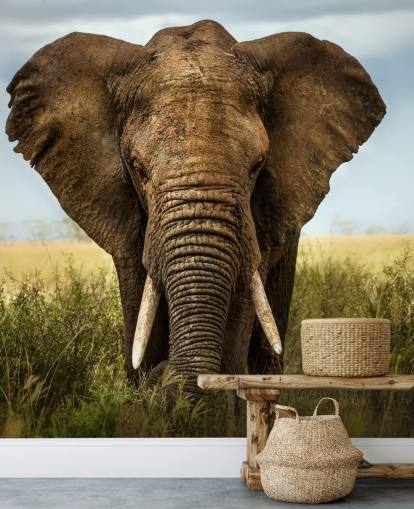 Elephant Head On Wall Mural