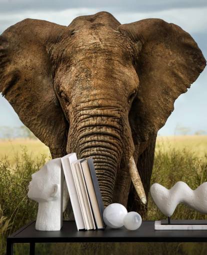 Elephant Head On Wall Mural