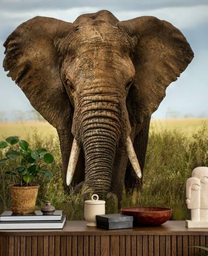 Elephant Head On Wall Mural