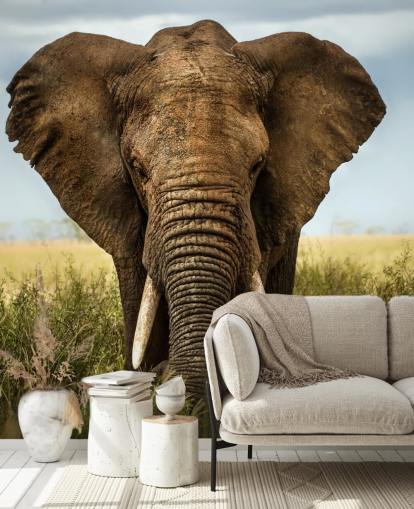 Elephant Head On Wall Mural