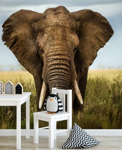 Elephant Head On Wall Mural