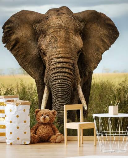 Olifant hoofd op muurschildering Olifant hoofd op muurschildering