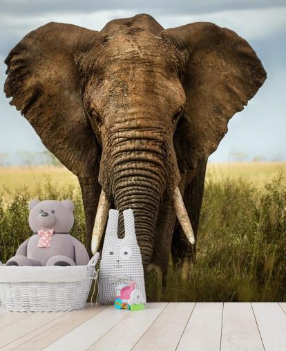 Mural de pared Cabeza de elefante