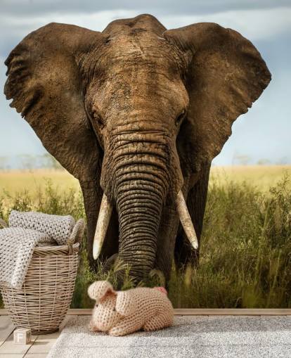 Cabeça de elefante na parede Mural