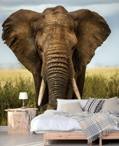 Elephant Head On Wall Mural