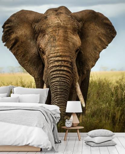 Elephant Head On Wall Mural