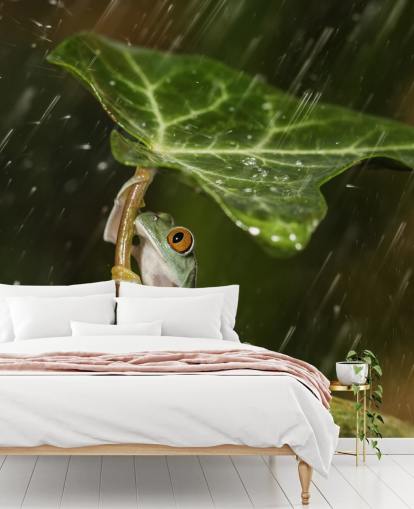 Frog Holding Leaf Umbrella Wallpaper