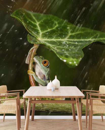 Frog Holding Leaf Umbrella Wallpaper Frog Holding Leaf Umbrella Wallpaper