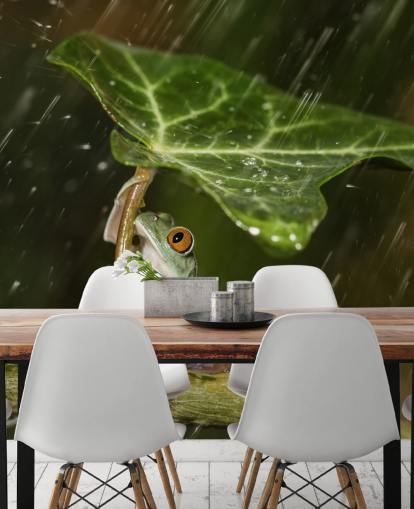 Papier Peint Parapluie Grenouille Papier Peint Parapluie Grenouille
