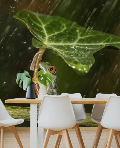 Frog Holding Leaf Umbrella Wallpaper