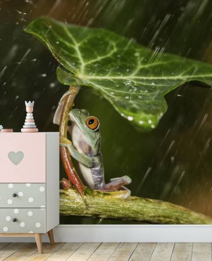 Frog Holding Leaf Umbrella Wallpaper