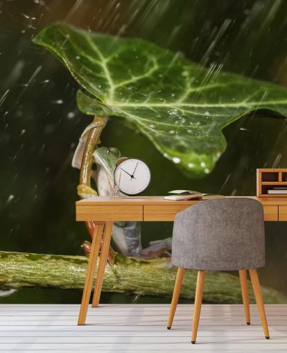 Frog Holding Leaf Umbrella Wallpaper Frog Holding Leaf Umbrella Wallpaper