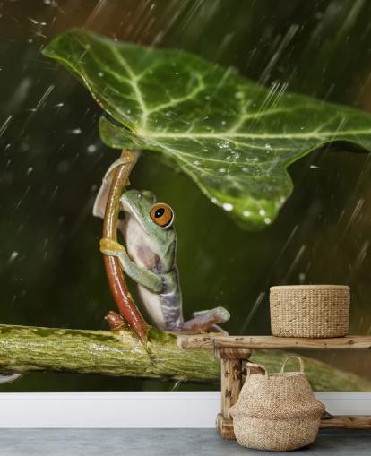 Frog Holding Leaf Umbrella Wallpaper