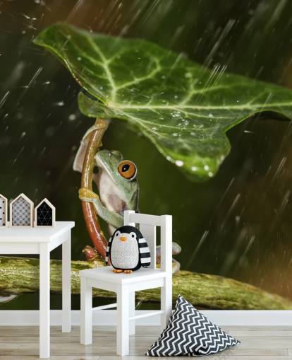 Frog Holding Leaf Umbrella Wallpaper