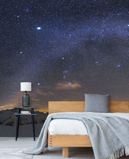 Mural de pared Cielo nocturno estrellado