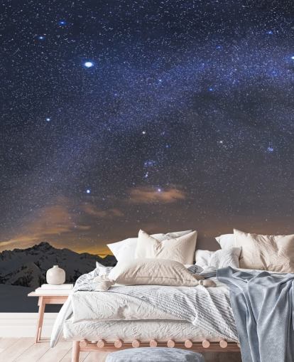 Starry Night Sky Wall Mural