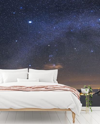 Mural de pared Cielo nocturno estrellado