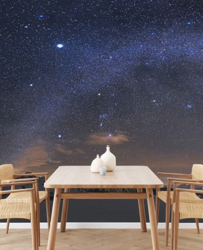 Starry Night Sky Wall Mural