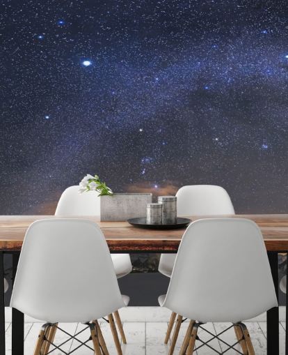 Starry Night Sky Wall Mural