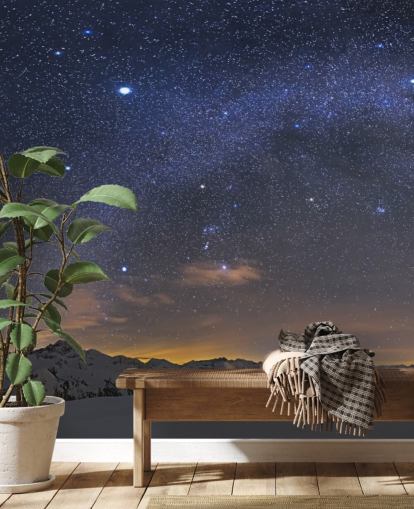 Starry Night Sky Wall Mural