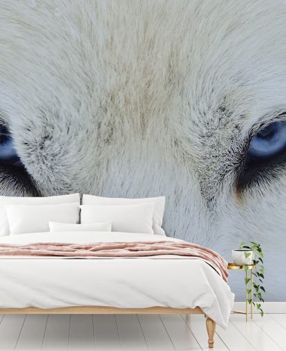 Blå Wolf Eyes Baggrund