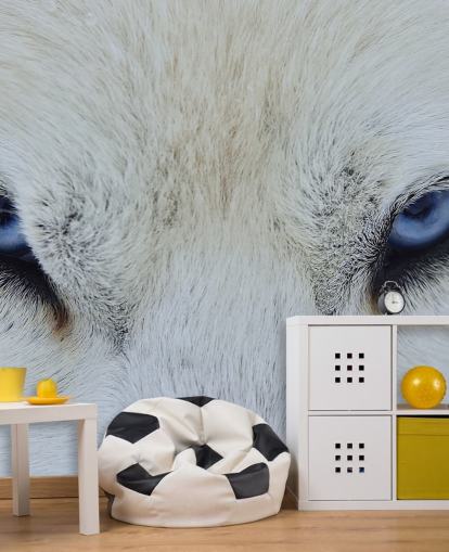 Blue Wolf Eyes Wallpaper