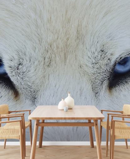 Papel de parede Blue Wolf Eyes Papel de parede Blue Wolf Eyes