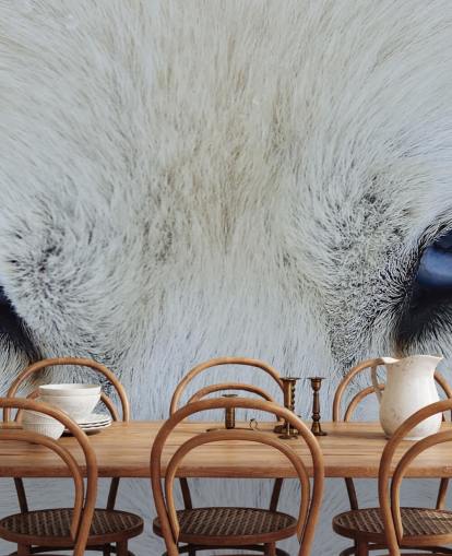 Blue Wolf Eyes Wallpaper Blue Wolf Eyes Wallpaper