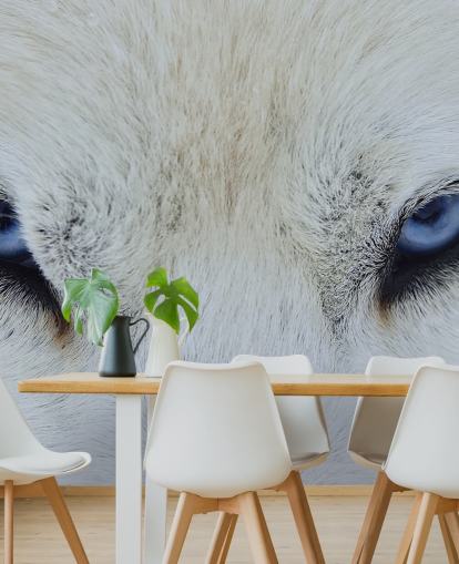 Papel pintado de ojos de lobo azul Papel pintado de ojos de lobo azul