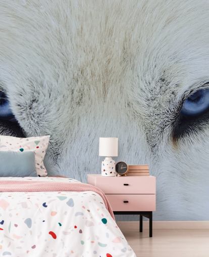 Blue Wolf Eyes Wallpaper