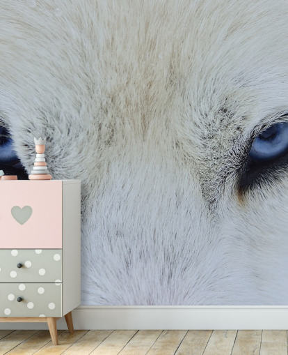 Blue Wolf Eyes Wallpaper