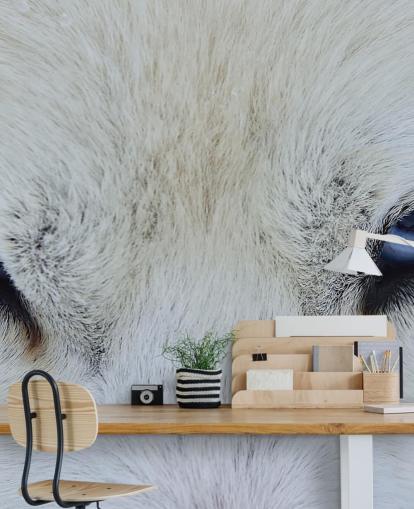 Blue Wolf Eyes Wallpaper