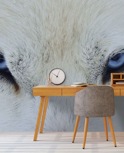 Blue Wolf Eyes Wallpaper