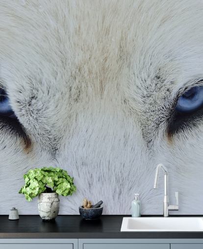 Blue Wolf Eyes Wallpaper Blue Wolf Eyes Wallpaper