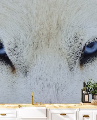 Papier Peint Blue Wolf Eyes