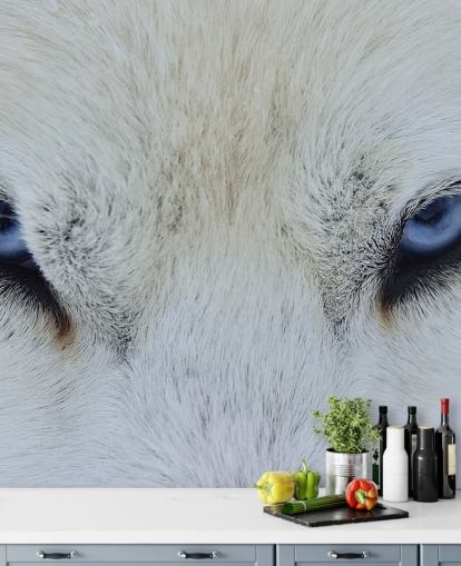 Blue Wolf Eyes Wallpaper