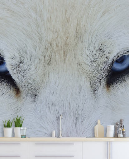 Blue Wolf Eyes Wallpaper